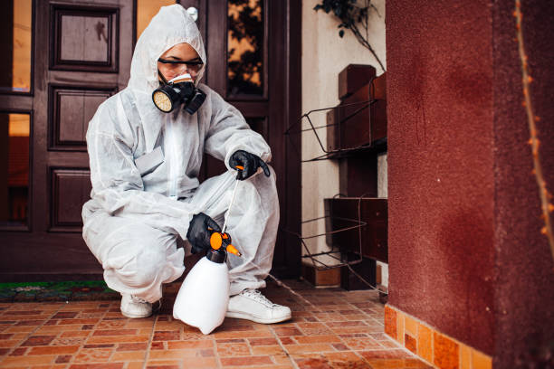 Reliable Ant Control contractor in Tryon, NC by Show Me Pest Control